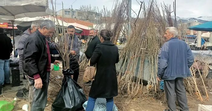 Erzincan’da fidan satışları pazarlarda başladı