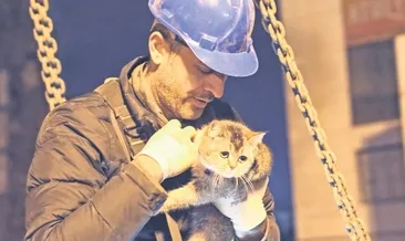 8 kedi kurtarıldı