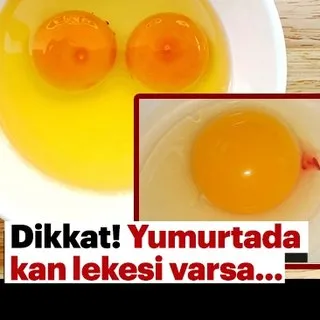 Yumurtada kan lekesi varsa ne anlama gelir? Kan lekesi olan yumurtayı yemek zararlı mı?