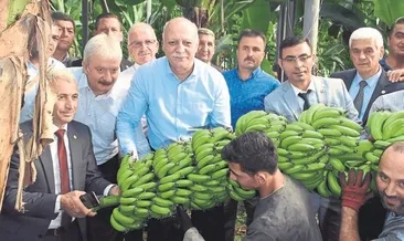 Ispanağın suçu yok