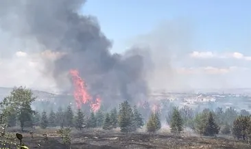 Ankara’da orman yangını: Bir kişi gözaltında!
