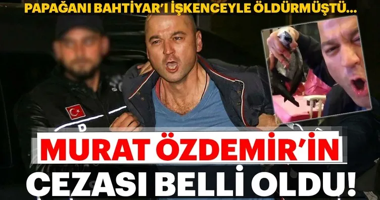 Olay adam Murat Özdemir hakkında son dakika kararı! Papağana işkence yapmıştı...