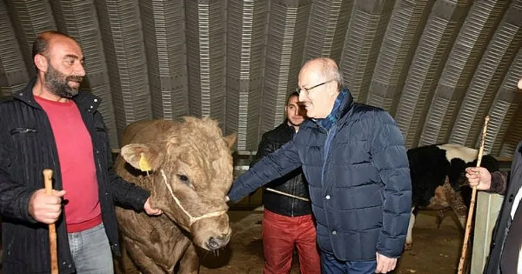Başkan Kafaoğlu hayvan pazarını inceledi