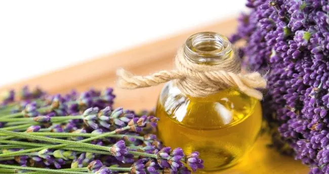 Lavanta Yağı Saça Faydaları Nelerdir? Lavanta Yağı Neye Yarar, Saça Faydalı Mı?