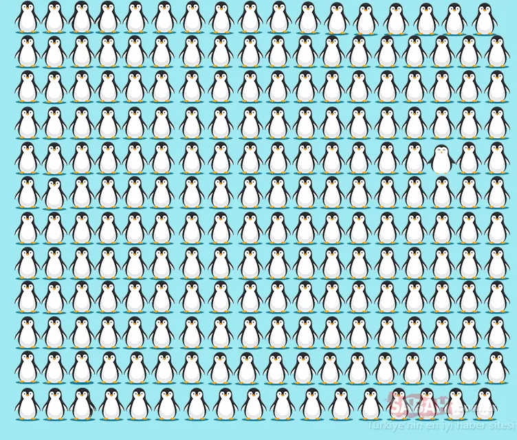 Koyunların içindeki kurdu 10 saniyede fark ederseniz bir dahisiniz! Bu optik illüzyon testini yalnızca 32 kişi geçebildi