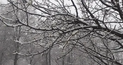 Amasya'da baharı beklerken kar sürprizi #amasya
