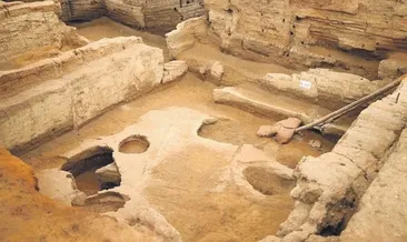 4 bin yıllık nohut 8 bin yıllık ekmek