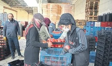 Bebeklerde Sik Gorulen 14 Cilt Hastaligi Saglik Haberleri