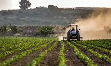 Tarım ÜFE haziranda aylık bazda yüzde 4,04 arttı