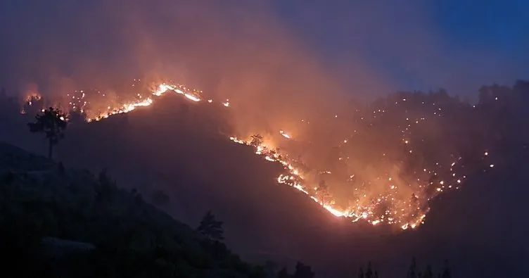 Kahramanmaraş’ta orman yangını: Ekiplerin müdahalesi sürüyor