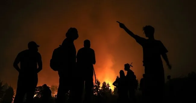 Son dakika: Cezayir'deki orman yangınlarında 25 asker hayatını kaybetti