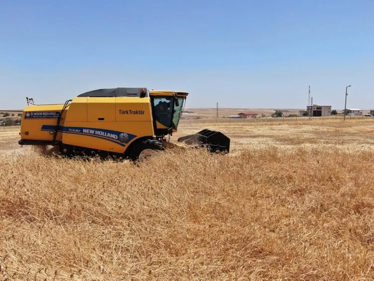 Türkiye’nin her yerinden sipariş yağıyor! Bahçesine ekti tam 7 bin yıllık!