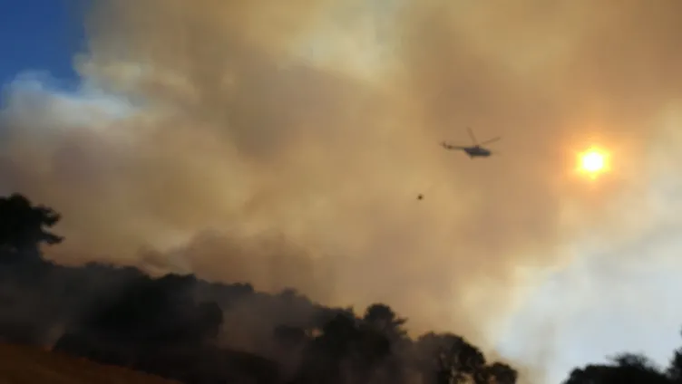 SON DAKİKA: Hatay, Mersin ve Çanakkale'de orman yangını! Alevlerle mücadele sürüyor: Bakanlar son bilançoyu açıkladı