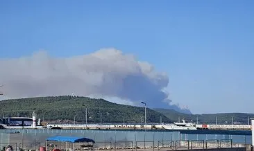 Gelibolu'da orman yangını! Alevlere havadan ve karadan müdahale ediliyor #canakkale