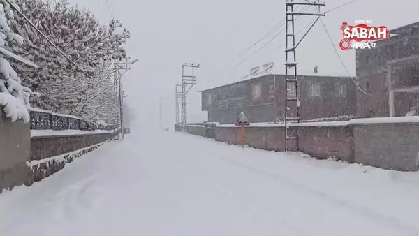 Ahlat’ta yoğun kar yağışı köy yollarını ulaşıma kapadı | Video
