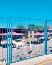 Erzurum örnek oldu