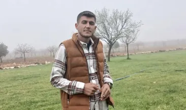 Parasını istemeye gitti, canından oldu!