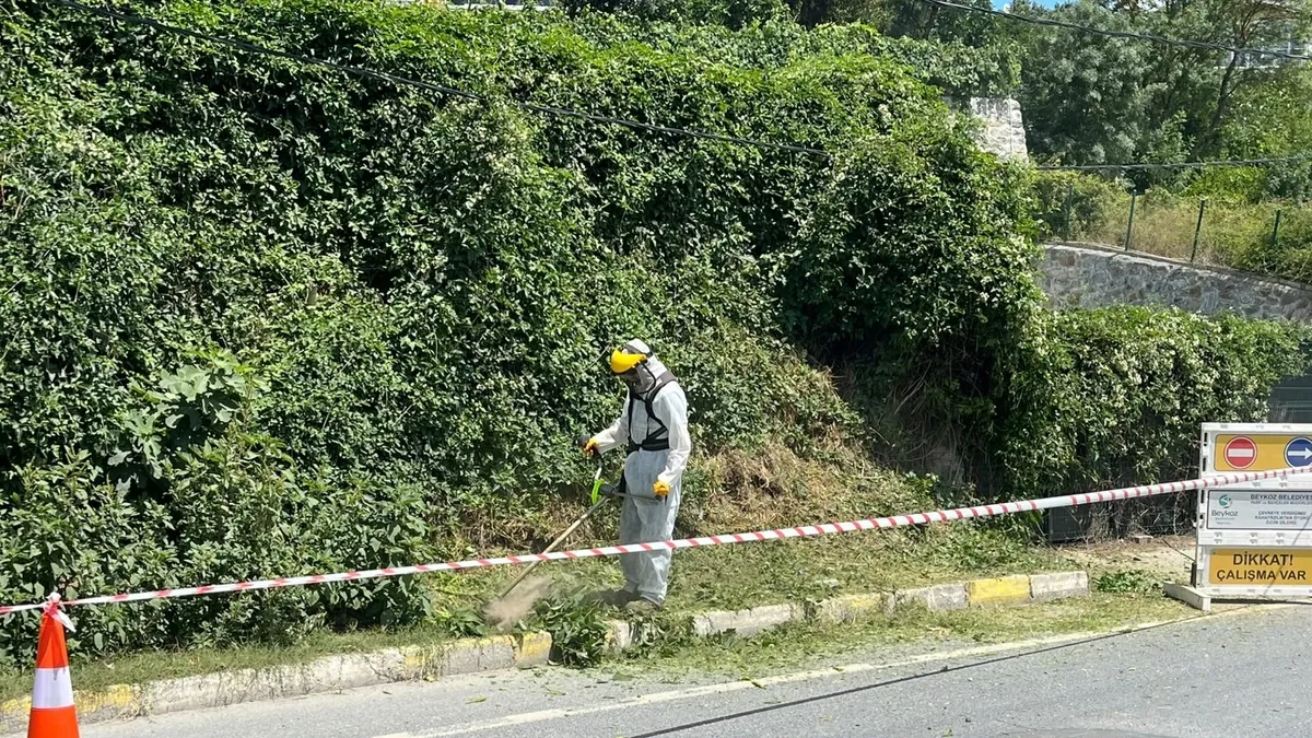 Beykoz’da otlar metrelerce uzadı: O yollar İBB’nin sorumluluğundaydı! Beykoz’da otlar metrelerce uzadı: O yollar İBB’nin sorumluluğundaydı!