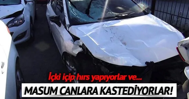 ‘İçki içiyor, hırs yapıyor, masum canlara kastediyorlar’