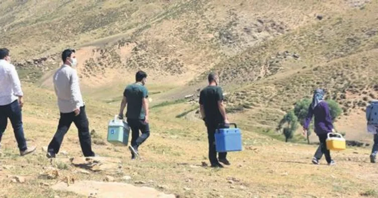 Yaylada aşı heyecanı