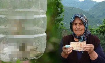 Toplayıp getirene para ödülü! Bugüne kadar 260 adet tanesi toplandı: Dünyanın sonunu getirebilir! #ordu