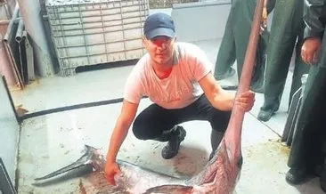 Boğaz’da 50 kiloluk kılıç balığı yakalandı #izmir