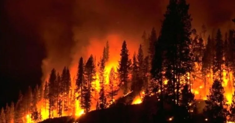 Batı Akdeniz için orman yangını uyarısı!