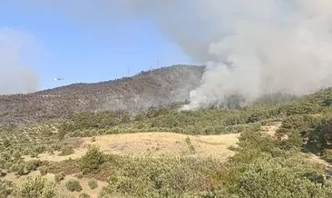 Orman yangını devam ediyor: 95 hektarlık alan kül oldu #hatay