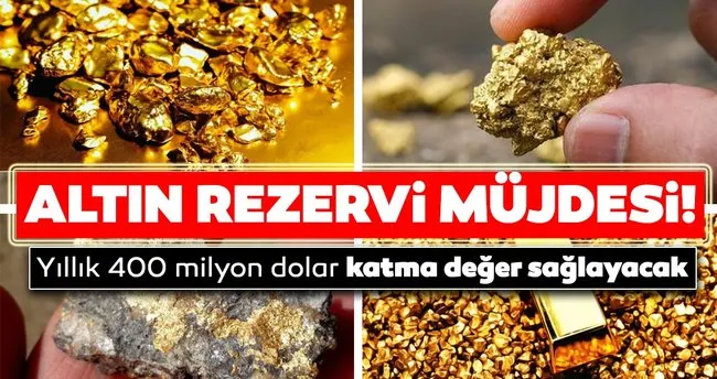 yillik 400 milyon dolar katma deger