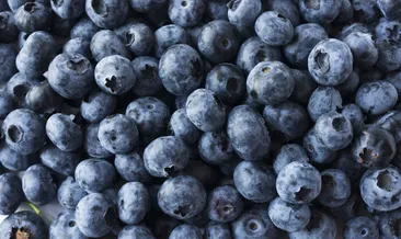 Yaban mersininin faydaları nelerdir?