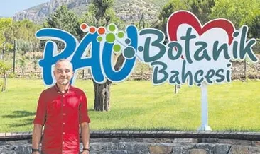 Göz kamaştıran güzellik