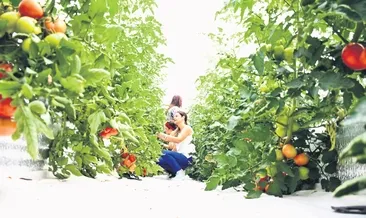 Üretimin yüzyılı