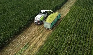 Mart ayı tarım üretici fiyatları belli oldu