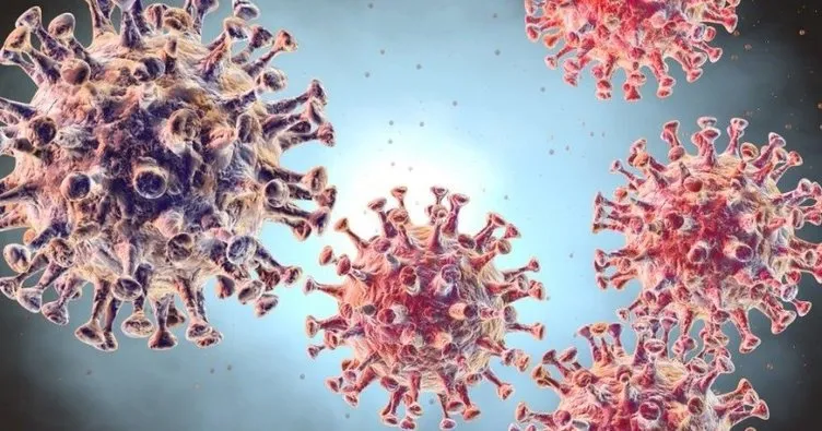 Çin’de yeni tip koronavirüse karşı geleneksel tedavilere başvuruluyor