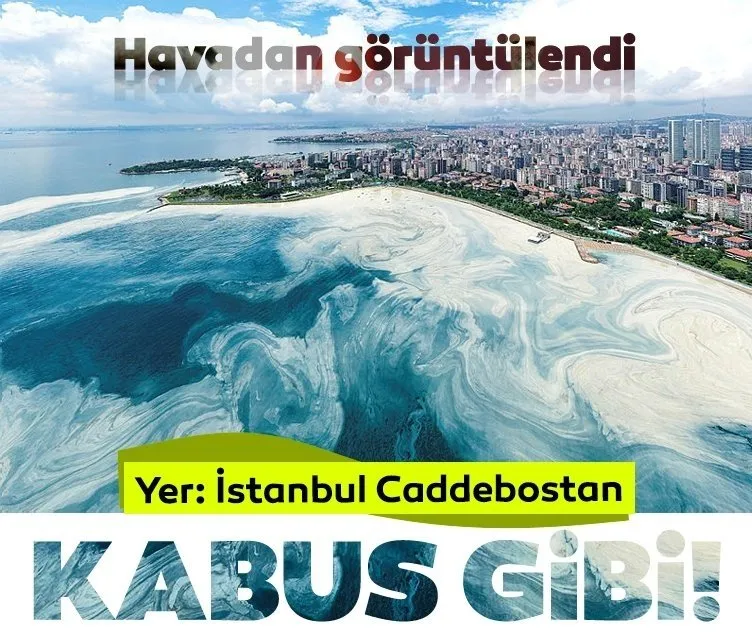 Müsilaj Deniz salyası kabusu! Bu görüntüler İstanbul’un göz bebeği Caddebostan’dan