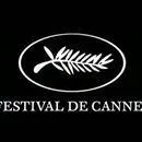 Altın Palmiye Hayat Ağacı’nın