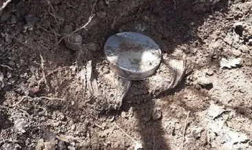 Muş'ta toprağa gömülü 12 kilo patlayıcı ele geçirildi #mus