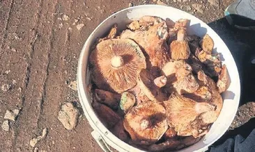 Çameli’nde mantar zamanı