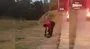 Denizli'de evin bahçesindeki yılan paniği kamerada | Video