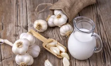 Sarımsaklı Sütün Faydaları Nelerdir? Sarımsaklı Süt Neye İyi Gelir, Nasıl Tüketilir? #kastamonu Sarımsaklı Sütün Faydaları Nelerdir? Sarımsaklı Süt Neye İyi Gelir, Nasıl Tüketilir? #kastamonu