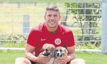 Yavru köpeklere sahip çıktılar