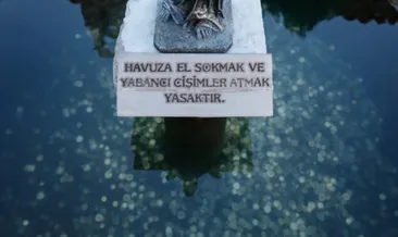 Kayıp paralar, artık kamuya gidecek