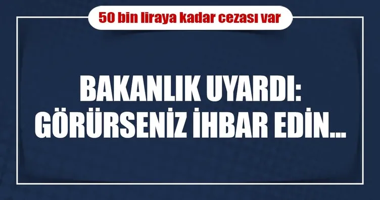 Bakanlıktan uyarı: Kapı önünde kurban keseni  ’Alo 181’e bildirin