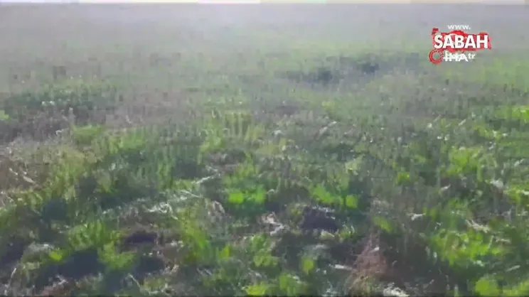 Konya’da pancar tarlasında yeni obruk oluştu