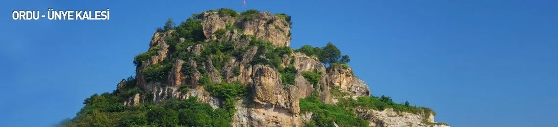 ordu haber son dakika ordu haberleri