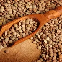 Protein deposu mercimek