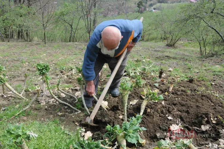 Trabzonlu ’Süper Dede’ 83 yaşında! Gençlere taş çıkartıyor