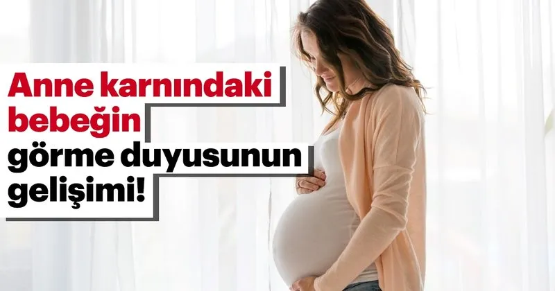anne karnindaki bebegin gorme duyusunun gelisimi bebek haberleri