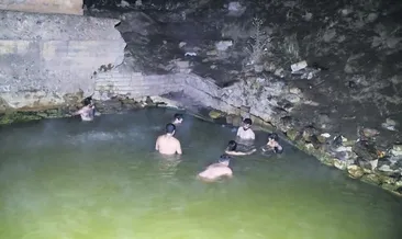 Kurt sürüsü kaplıcaya indı