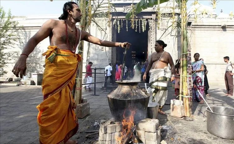 Thai Pongal Hindu Festivali Sri Lanka